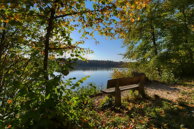 組成一支備 組成一支備